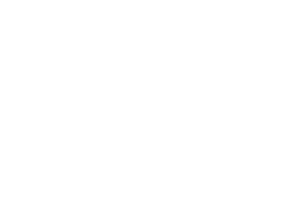 Logo Impoex